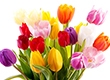 «Егорьевский Курьер» дарил женщинам улыбки и цветы