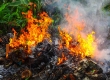 Пожароопасный сезон в Егорьевском лесничестве завершен