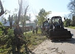 «Уборка» в городе: в Егорьевске пилят сухие деревья