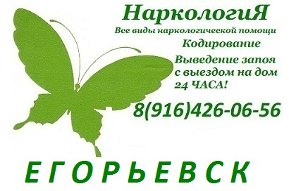 butterfly egorevsk.jpg